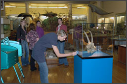 KateFoster_blueAntelope