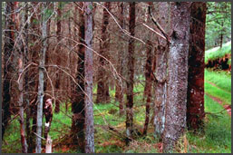 KateFoster_disposition